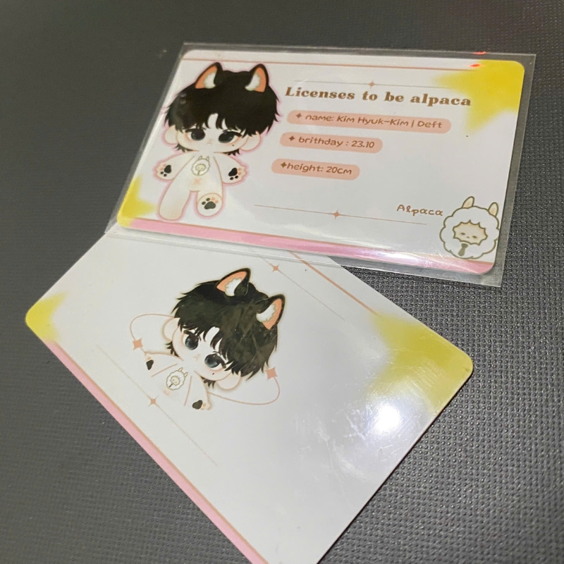 card pvc 1